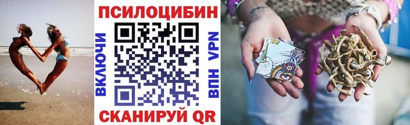 кракен ТОР  купить наркотик  Медногорск  Псилоцибиновые грибы Magic Shrooms 